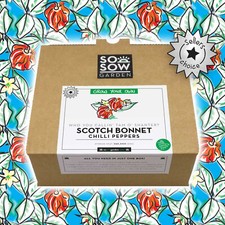 Scotch Bonnet Chilli Pepper