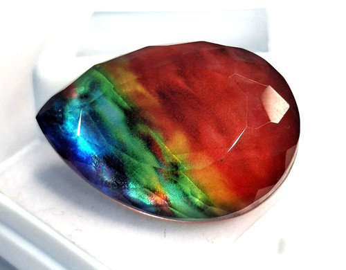 Ammolite certified organic - certified,