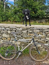 Raleigh Dyna-tec MT4, hope, Shimano XT groupset 