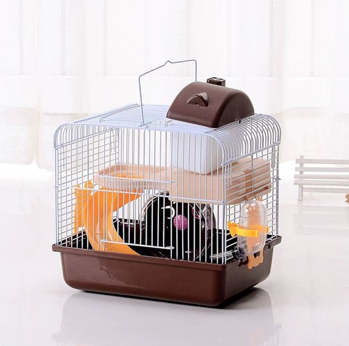 Tier hamster pet - hamster, habitat