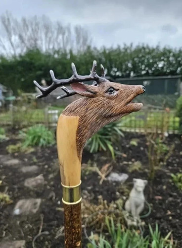 Beautiful wooden walking stick - wooden,