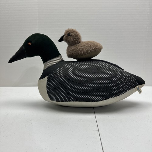 Mallard duck with - mallard,