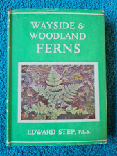 Wayside & Woodland, Ferns by