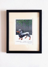 Dachshund funny print Simon