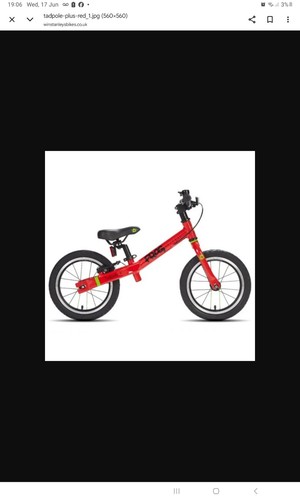 Frog bikes tadpole - frog,