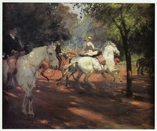 Sunlight & Shadow, Hyde Park Lucy Kemp Welch horse print in 10 x 12 mount SUPERB