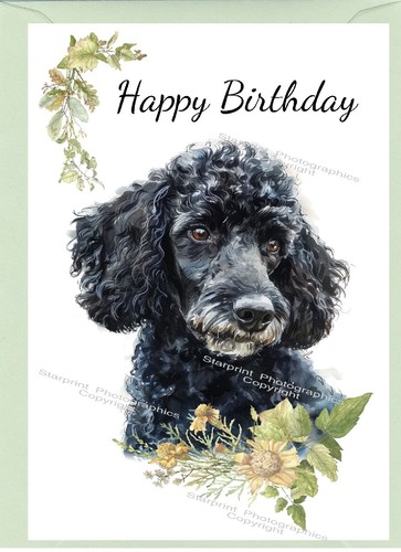 Poodle black dog birthday card - dog,