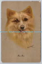 R759097 Pom Pom Dog Postcard