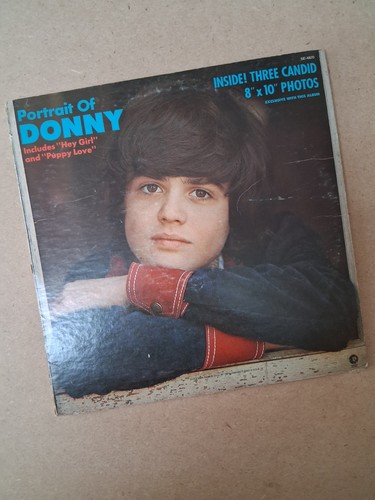 Donny osmond portrait of - portrait,