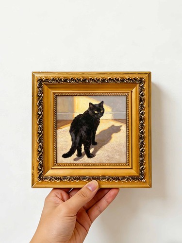 Sunlit black cat shadow - sunlit,