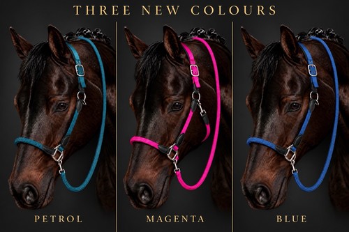 Carlotta headcollar lead - headcollar,