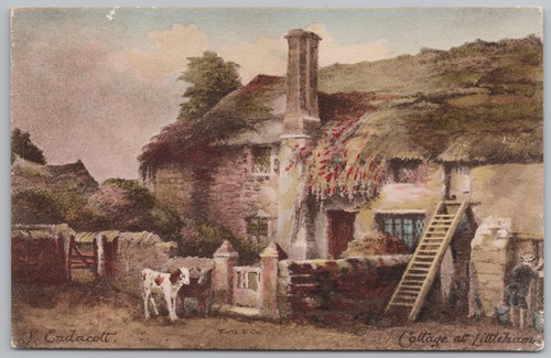 Littleham devon cottage - littleham,