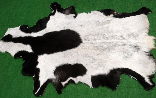 New goat hide rug - new,