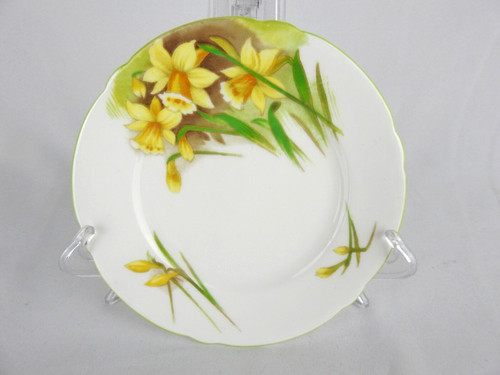 Shelley jonquil daffodil - jonquil,