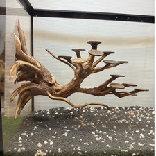 Driftwoods for aquarium - driftwoods,