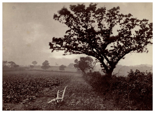 Frank meadow sutcliffe plow - frank, sutcliffe,
