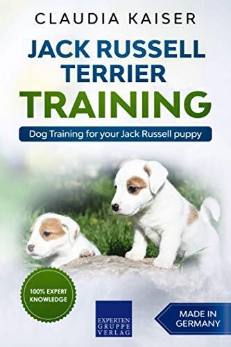 Jack russell terrier - russell,