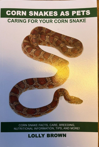 Corn snakes pets - corn,