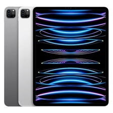 Apple iPad Pro 11" 4th Gen