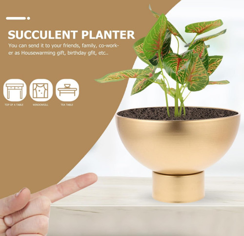 Pedestal flower bowl - flower,
