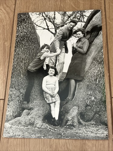 Princess alexandra angus - alexandra, &