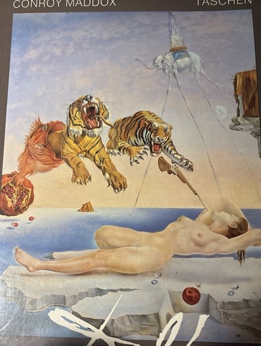 Dali conroy maddox first - dali, maddox,