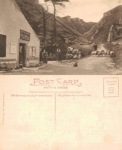Vintage postcard speedwell - postcard,