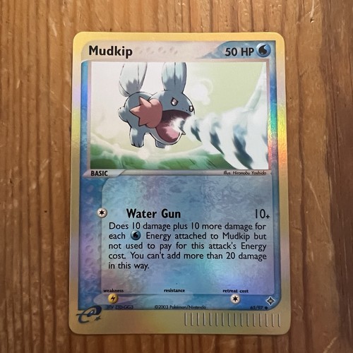 Mudkip dragon - dragon,