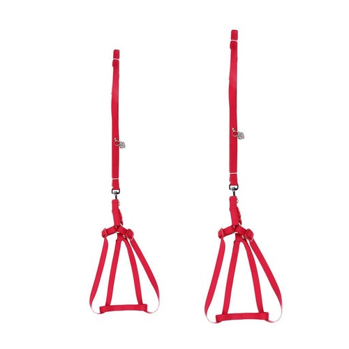 Harness leash for - harness, parrot