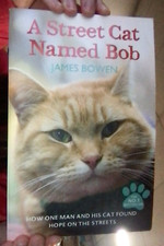 A STREET CAT NAMED BOB, SMALL