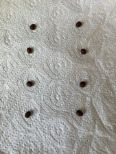 Robusta Washingtonia Seeds for