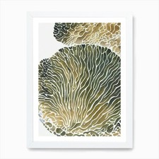 Open brain coral - coral, vintage