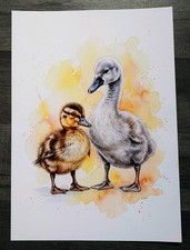 Original Swan and duck Art
