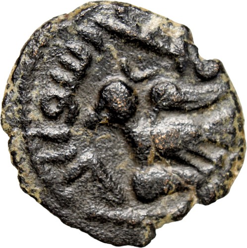Umayyad fals bird - fals, type