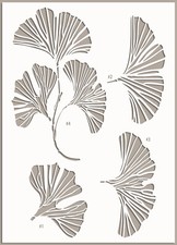 Single Gingko Leaf Large Walls Stencils Reusable Paint  Home Decor Crafts FL180
