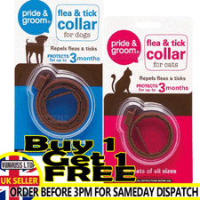 Buy 1 Get 1 FREE Cat & Dog