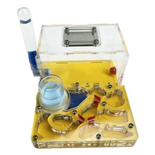 DIY Acryl Mini 3D Ant Farm Ant Nest with Feeding Area Ants House Insect Villa