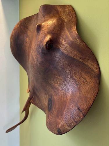 Teak stingray retro vintage - teak,
