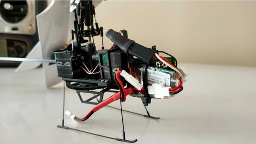 Buzz fly channel - fly, 3d