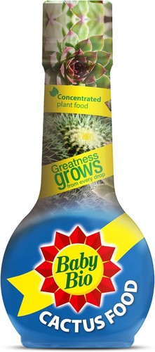 Baby bio cactus - baby,