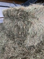 New June 2025 Conventional Hay Bales X20