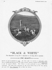 BLACK & WHITE WHISKY Spaniels