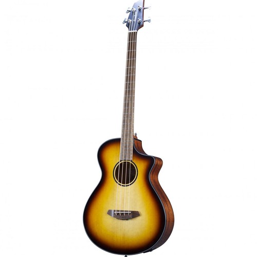 Breedlove eco discovery - breedlove,