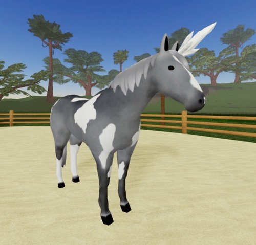 Wild horse islands v1 wc - horse, 🌸