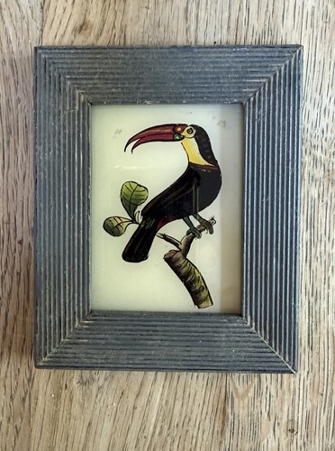 Toucan indian vintage reverse - toucan,