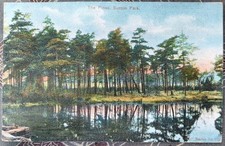 The Pines Sutton Park Sutton