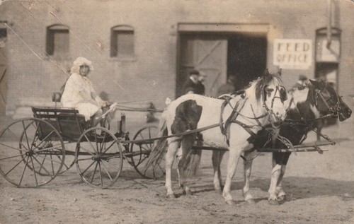 Vintage postcard child pony - postcard,