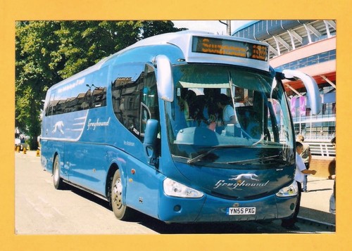 Photo first greyhound - greyhound, 23316
