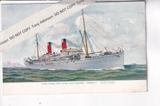 UNION CASTLE LINE - ROYAL MAIL STEAMER "NORMAN" - VINTAGE POSTCARD #VP255