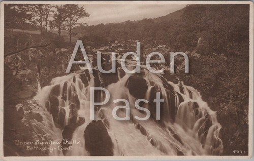 Rppc swallow falls - swallow,